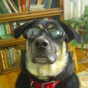 Meet your Posher, Rufus